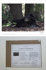 2022_2990-8x12-on-10_15a24d