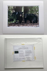 2022_3001-2-10x15-on_15a283